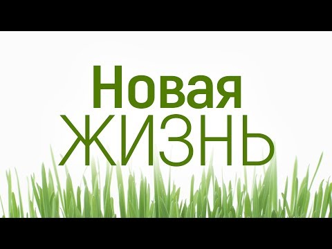 Видео: Проповедь: "Новая жизнь" (Алексей Коломийцев)