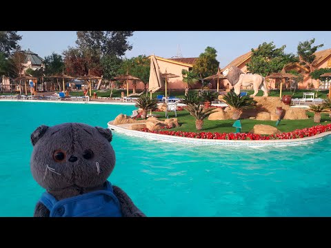 Видео: День с басиками в Египте!