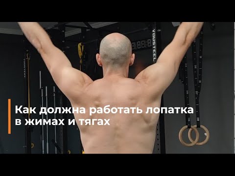 Видео: Как выполнять жимы и тяги, если болит плечо