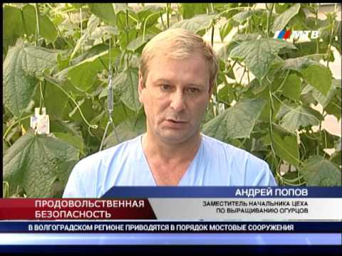 Видео: ВОЛЖСКИЙ ТЕПЛИЦЫ