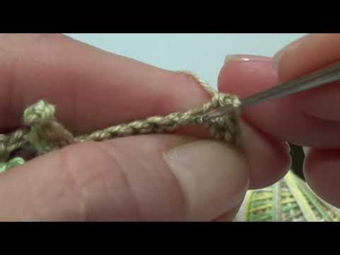 Видео: Коралловая ветвь