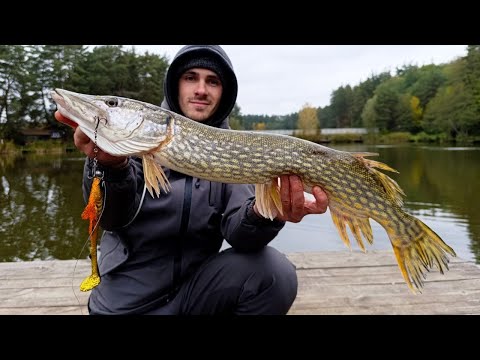 Видео: Щука Клює на 6 ДЮЙМІВ✅. Ловля щуки на озері Трофейному.