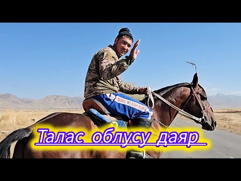 Видео: Первое интервью было с Омурбеком.