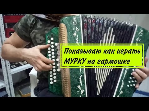 Видео: СЫГРАЕТ КАЖДЫЙ! Самый краткий и понятный разбор Мурки на гармони! #гармонь #разборнагармони