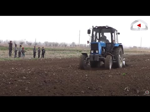 Видео: Баткендик багбандардын жемиш бактарын өстүрүү сырлары | Агро Чарба