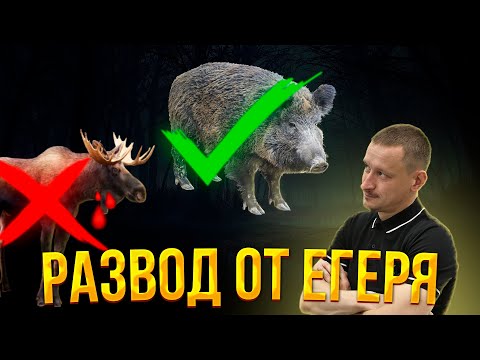 Видео: Как ЕГЕРЬ разводит вас на охоте / Беспредел в охотхозяйстве