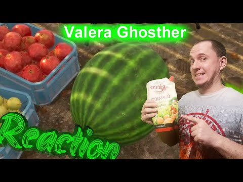 Видео: Смотрим Valera Ghosther Как я провел лето 🍉 Валера Гостер Реакция