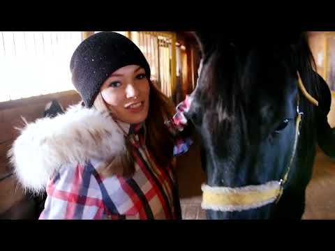 Видео: Проект Телекона «Лепота» / Ипподром / Висим 2020 год