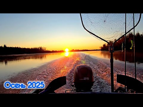 Видео: ЭТО НЕРЕАЛЬНО! Я ПОНЯЛ КАК ЕЁ ПОЙМАТЬ! 