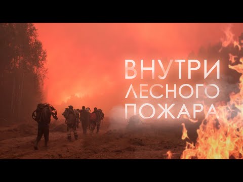 Видео: Внутри лесного пожара от первого лица // Ивановская область - Южский район 27.08.2022