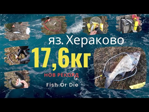 Видео: яз. Хераково 17кг риба - Herakovo lake 17kg fish