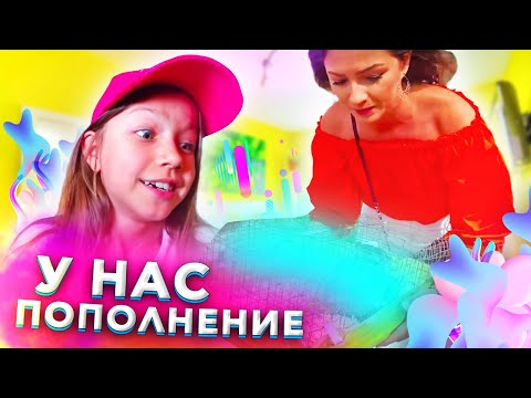 Видео: СБЫЛАСЬ МЕЧТА Вики ПОПОЛНЕНИЕ в Нашей Семье Посоветуйте Как Его Назвать? Влог / Вики Шоу