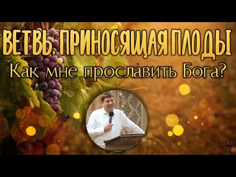 Видео: Ветвь, приносящая плоды (Как мне прославить Бога?).