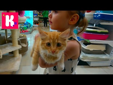 Видео: Катя и Макс делают грюминг для Мурки