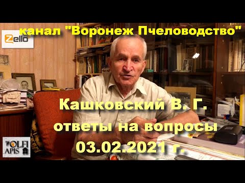 Видео: #Кашковский В. Г. 03.02.2021 г. на канале Zello-рации " #Воронеж_Пчеловодство ".