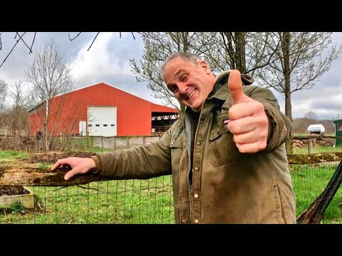 Видео: Новые поступления, садовые работы и плохие шутки