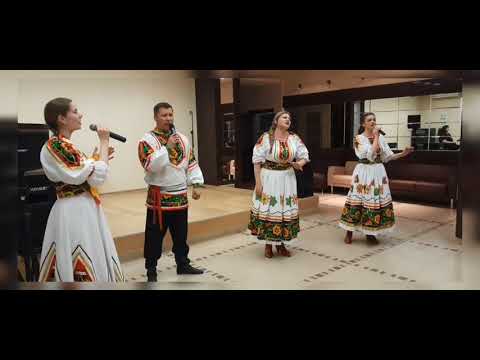 Видео: Елена Гуляева и группа ДУШАгрея 🌞 Песни для души