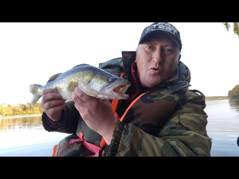 Видео: РЫБАЛКА НА КРУЖКИ В ОКТЯБРЕ 2021! ХИТРЫЙ СУДАК ИСПЫТЫВАЕТ МЕНЯ НА ПРОЧНОСТЬ, НО Я ЕГО ПОЙМАЛ!