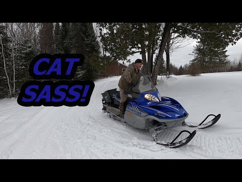 Видео: Arctic cat Bearcat 660T — чистый и тихий.