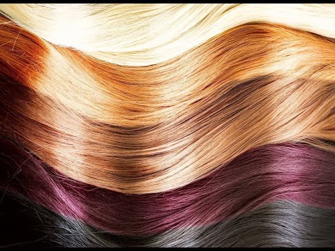 Видео: Мозг и волосы. Есть ли в волосах мозг