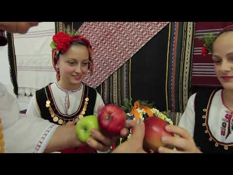 Видео: "Затупале тъпане" еп. 10 Пребулване на момата с. Тополи