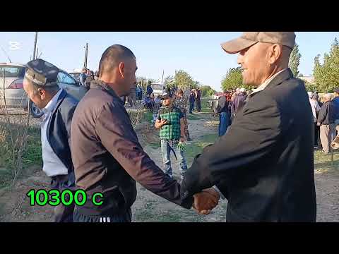 Видео: ТОЧИКИСТОН МОЛБОЗОРИ ФАРМОНКУРГОН СРОЧНО ТОМОШО КУНЕД АРЗОН ШУД 😱🐂🐃🐑🐑