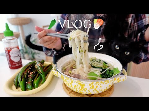 Видео: SUB) Готовим удон с базиликовым кремом 🌶️, едем к бабушке готовить 100 кг кимчи 🥬, ёлка 🎄