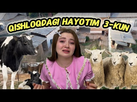 Видео: Qishloq hayotida 5 kun-Кишлок хайотида 5 кун