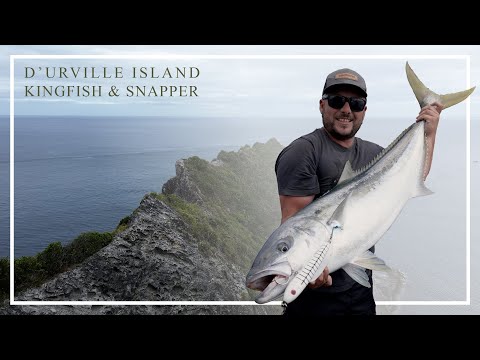 Видео: Королевская рыба и люциан острова Д'Юрвиль