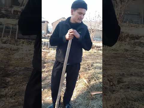 Видео: Түркістан облысы, Қазығұрт ауданы, Қызыл-қия ауылы биогумус шаруашылғы