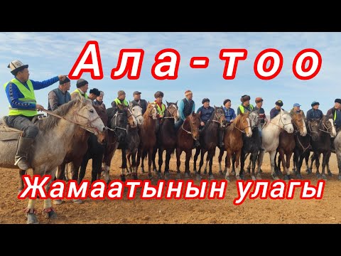 Видео: Ала-тоонун улагы