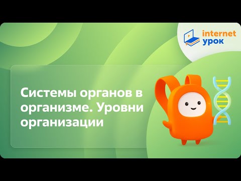 Видео: Биология 8 класс. Системы органов в организме. Уровни организации