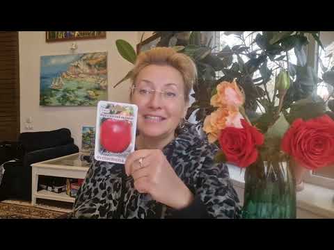 Видео: Какие томаты буду сажать в 2026!!! Минусинские красавчики!!!