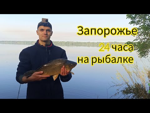 Видео: ЗАПОРОЖЬЕ!!! 24 ЧАСА НА РЫБАЛКЕ!!!