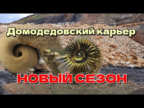 Видео: Домодедовский карьер. Юрские отложения. Огромные беллерофоны и окаменелости карбона.