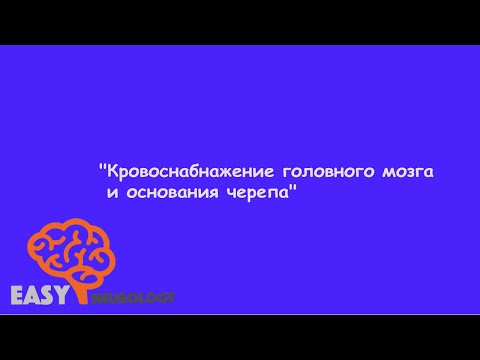 Видео: Нейрохирургический цикл. "Кровоснабжение головного мозга и основания черепа"