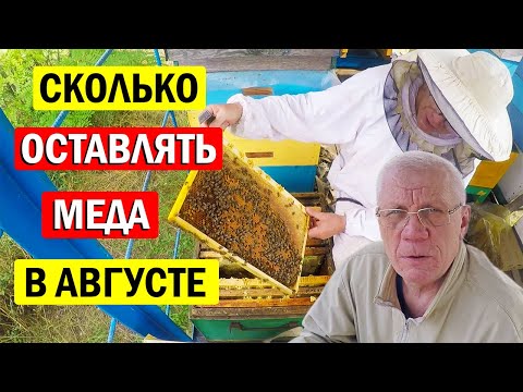 Видео: Сколько ДОЛЖНО БЫТЬ Меда у пчел в Августе?