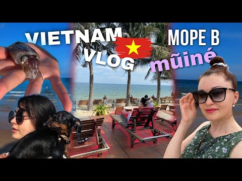 Видео: Приехали на море в Муйне!!/Вьетнам день 4/VIETNAM VLOG