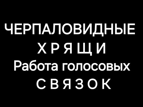 Видео: Черпаловидные хрящи. Работа голосовых связок