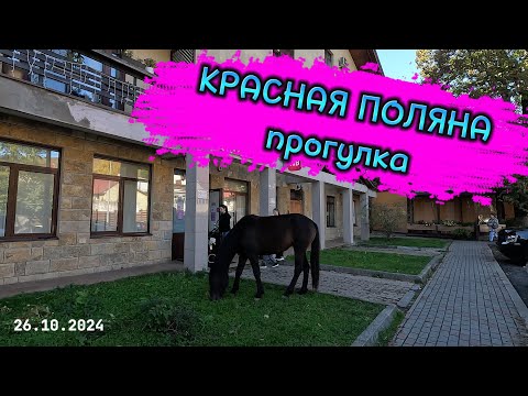 Видео: КРАСНАЯ ПОЛЯНА / ВОТ ТАКАЯ ОБСТАНОВКА 26 октября 2024 😀 #сочи