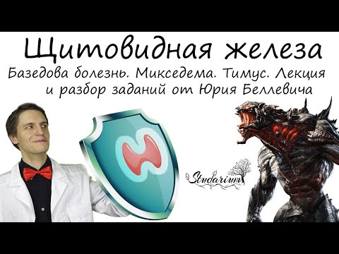Видео: Щитовидная железа. Базедова болезнь. Микседема. Тимус. Лекция и разбор заданий от Юрия Беллевича
