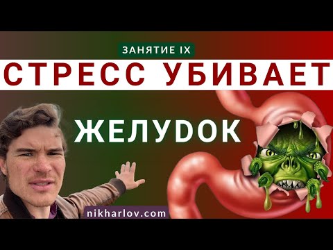 Видео: Как регулируется желудочное пищеварение, Повреждение желудка на стрессе, Всасывание в желудке.