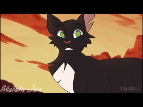 Видео: Коты Воители | Горелый ~ Benrezheb - Клетка [Заказ]