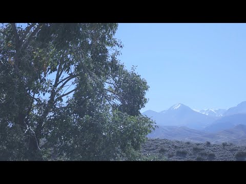 Видео: Видео для тех, кто болеет.