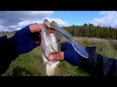 Видео: Ратлины и глубоководные воблеры на малой реке. Ловля щуки.