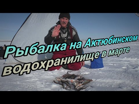 Видео: Рыбалка в марте на Актюбинском ВДХР в палатке ОКУНЬ ПЛОТВА ЛЕЩ на мормышку г.Актобе 2024г