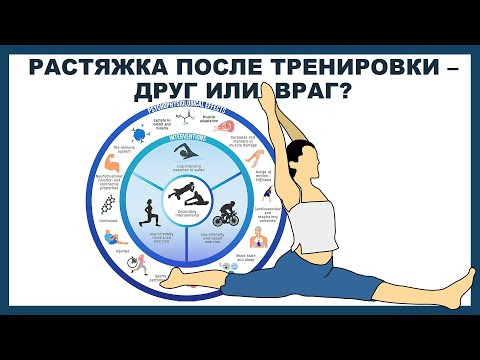 Видео: РАСТЯЖКА ПОСЛЕ ТРЕНИРОВКИ: ДРУГ ИЛИ  ВРАГ?