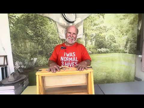 Видео: Советы по публичным выступлениям для пчеловодов