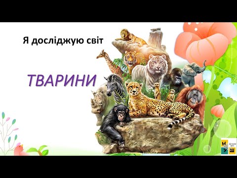 Видео: ЯДС 1 клас урок 54  Тварини автор підручника Жаркова
