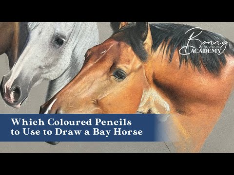 Видео: Какие цветные карандаши использовать для рисования гнедой лошади? | Рецепты рисования